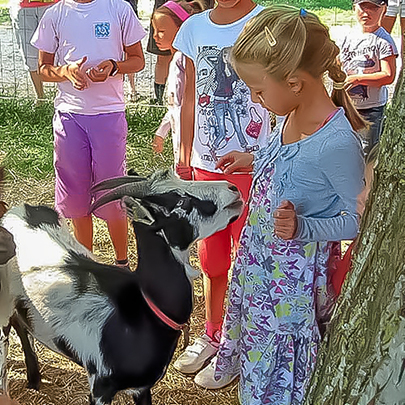 mini ferme
