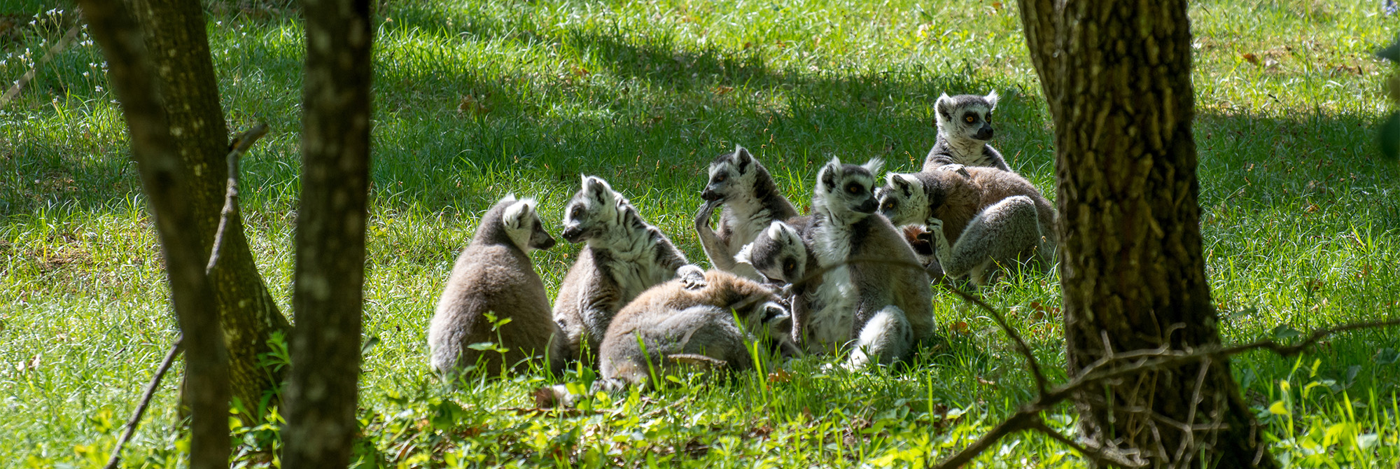 parc zoo safari peaugres rhones alpes drome 2022